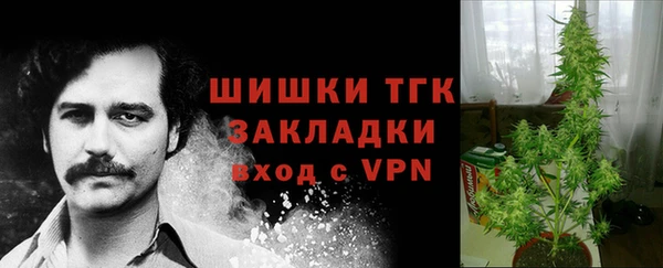 спайс Инсар
