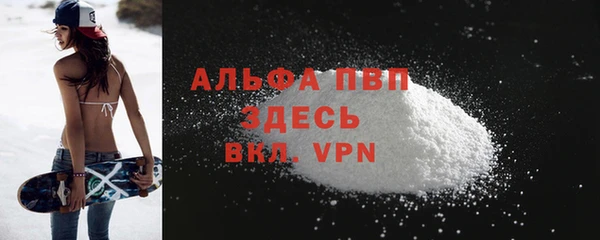ALPHA PVP Инта