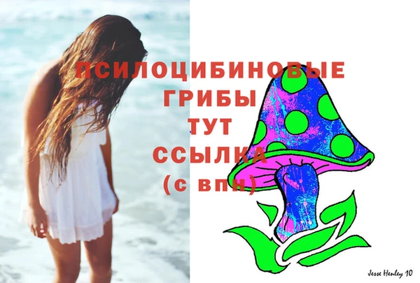 спайс Инсар