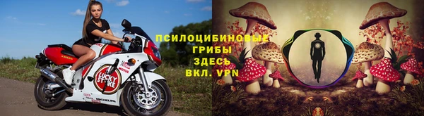 спайс Инсар